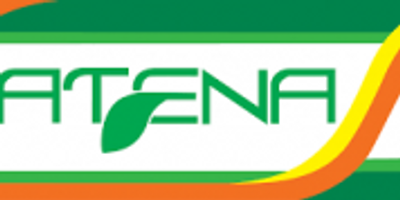 Catena