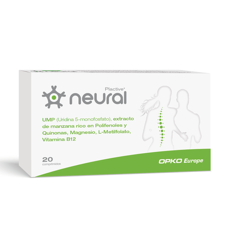 NEURAL